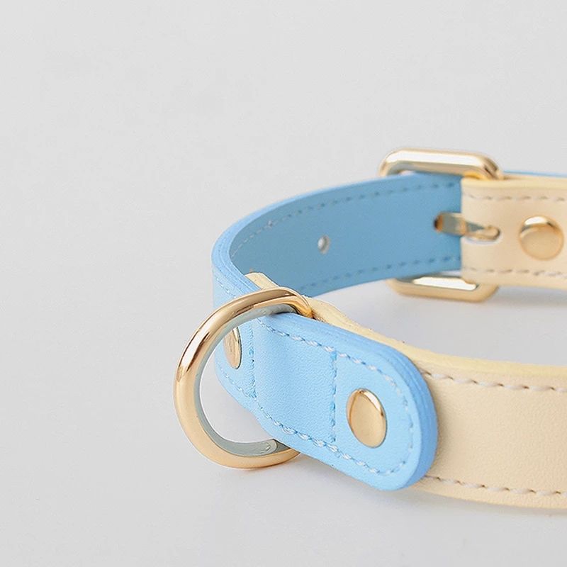Echtleder-Halsband für Haustiere