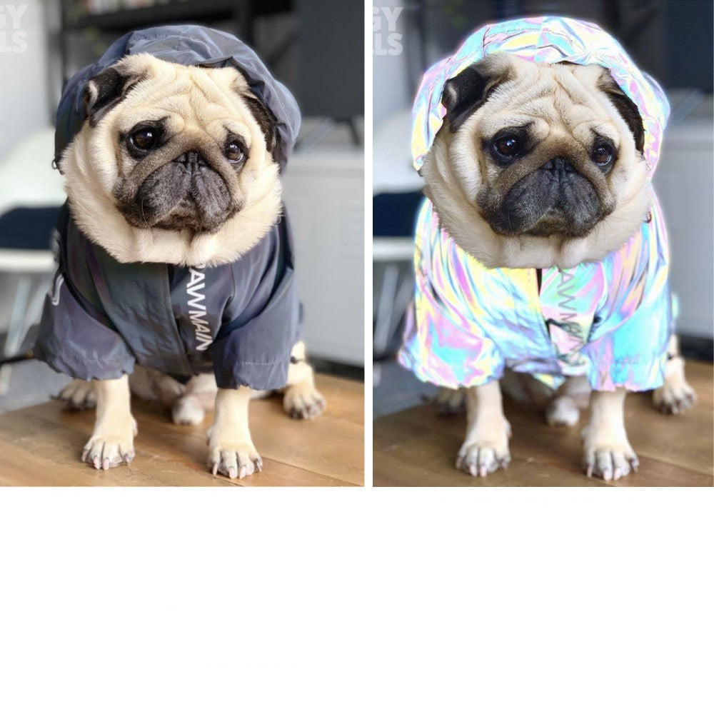 Regenmantel für Hunde