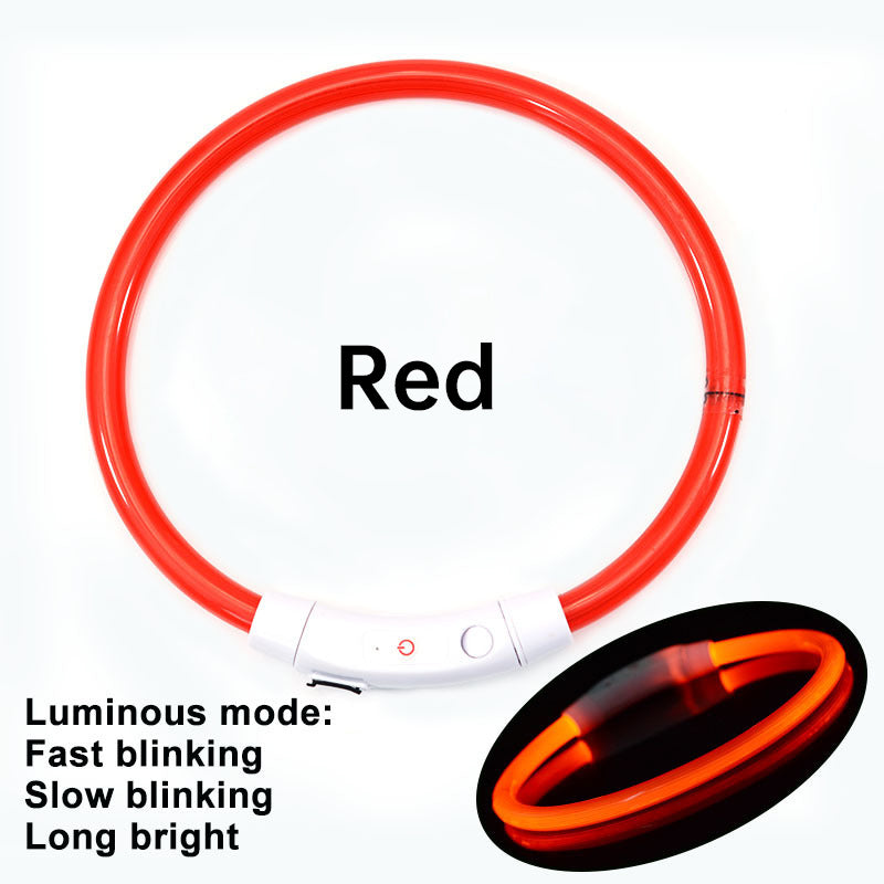 LED-Hundehalsband, 3 Leuchtmodi, USB-aufladbar