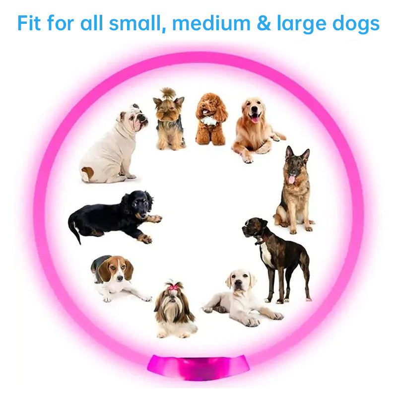 LED-Hundehalsband, 3 Leuchtmodi, USB-aufladbar