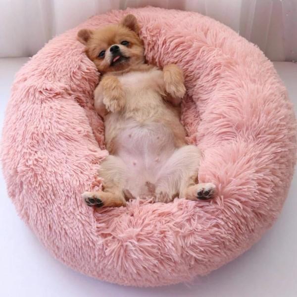 Plüsch-Hundebett kuschelig