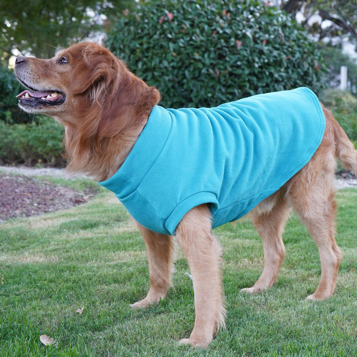 Warme Winter-Hundejacke für grosse Rassen