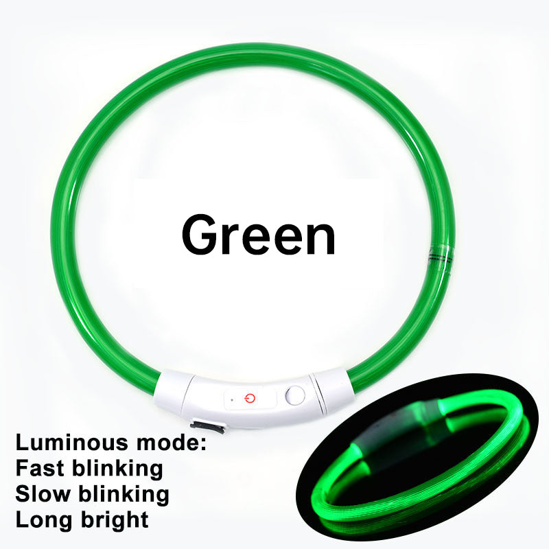 LED-Hundehalsband, 3 Leuchtmodi, USB-aufladbar