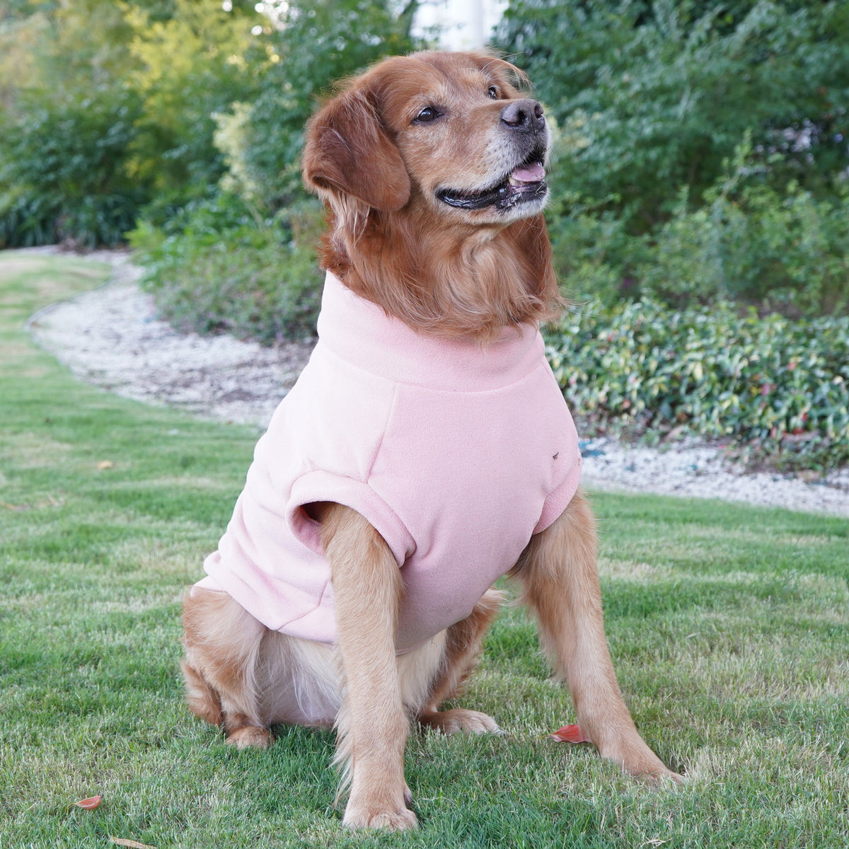 Warme Winter-Hundejacke für grosse Rassen