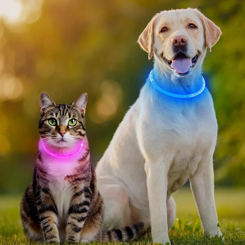 LED-Hundehalsband, 3 Leuchtmodi, USB-aufladbar