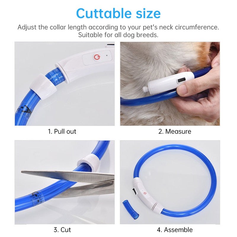 LED-Hundehalsband, 3 Leuchtmodi, USB-aufladbar