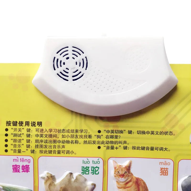 Learning Machine Sound Wall Chart
